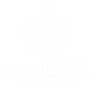 Agro GWR Corretora